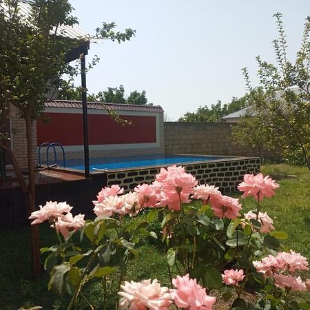 Villa Vilish Qəbələ Exterior foto