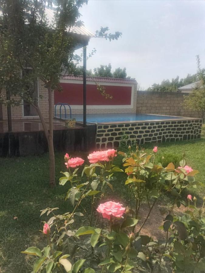 Villa Vilish Qəbələ Exterior foto