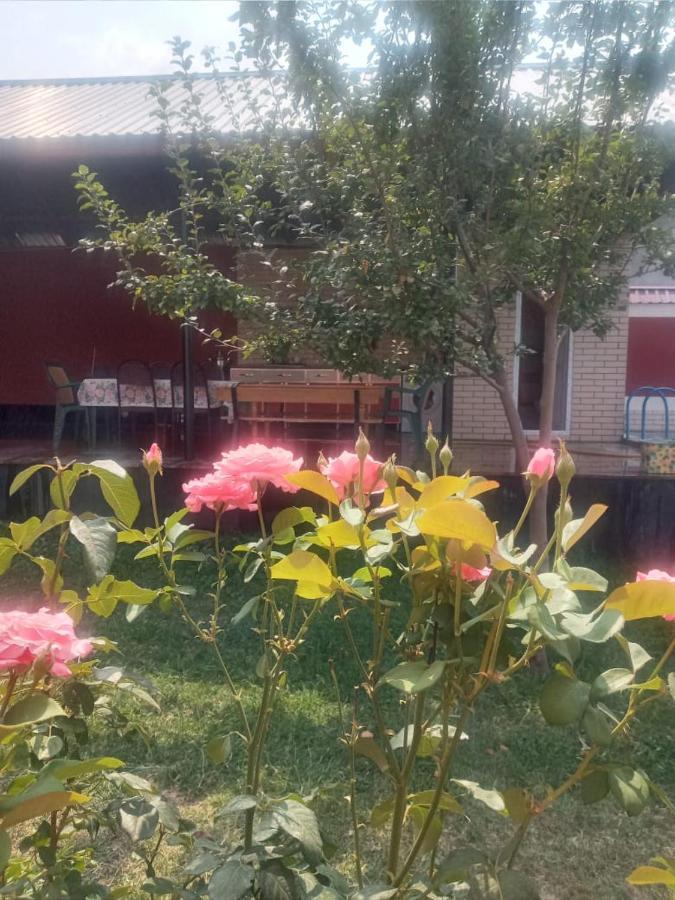 Villa Vilish Qəbələ Exterior foto