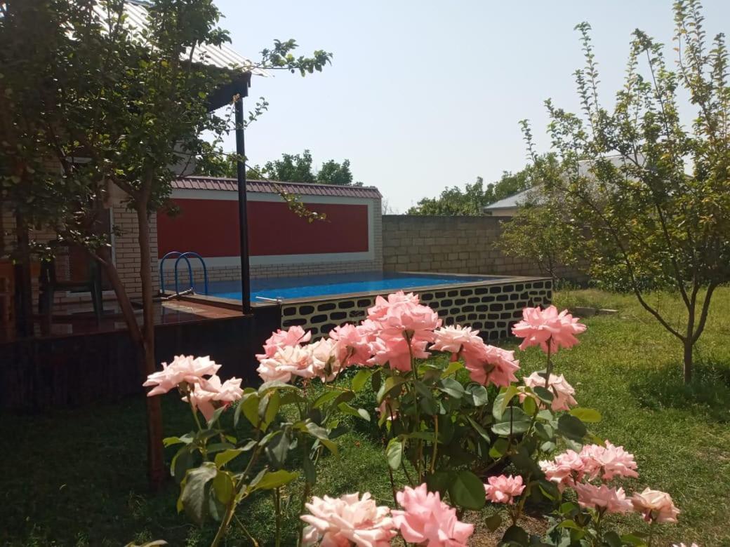 Villa Vilish Qəbələ Exterior foto